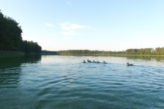 image005